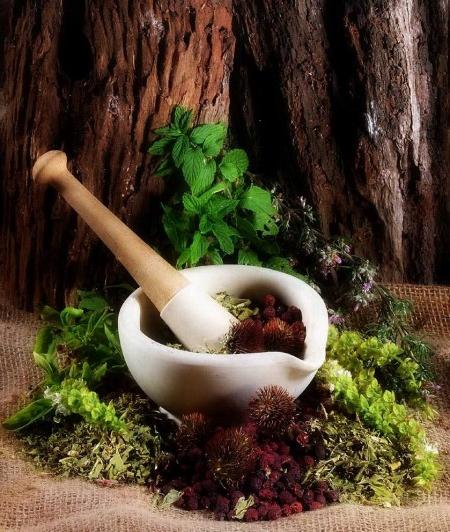 მცენარეების მკურნალობა