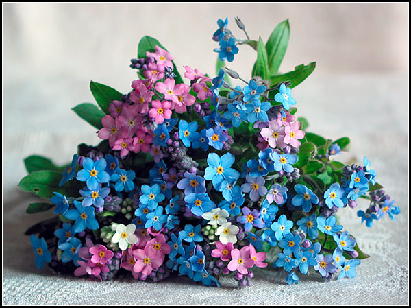 კესანე